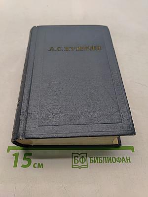 А.С. Пушкин. Художественная проза. Том шестой