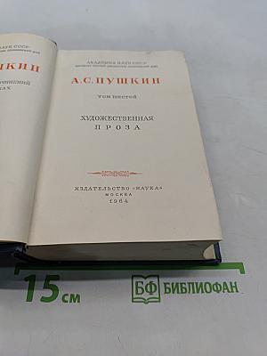 А.С. Пушкин. Художественная проза. Том шестой