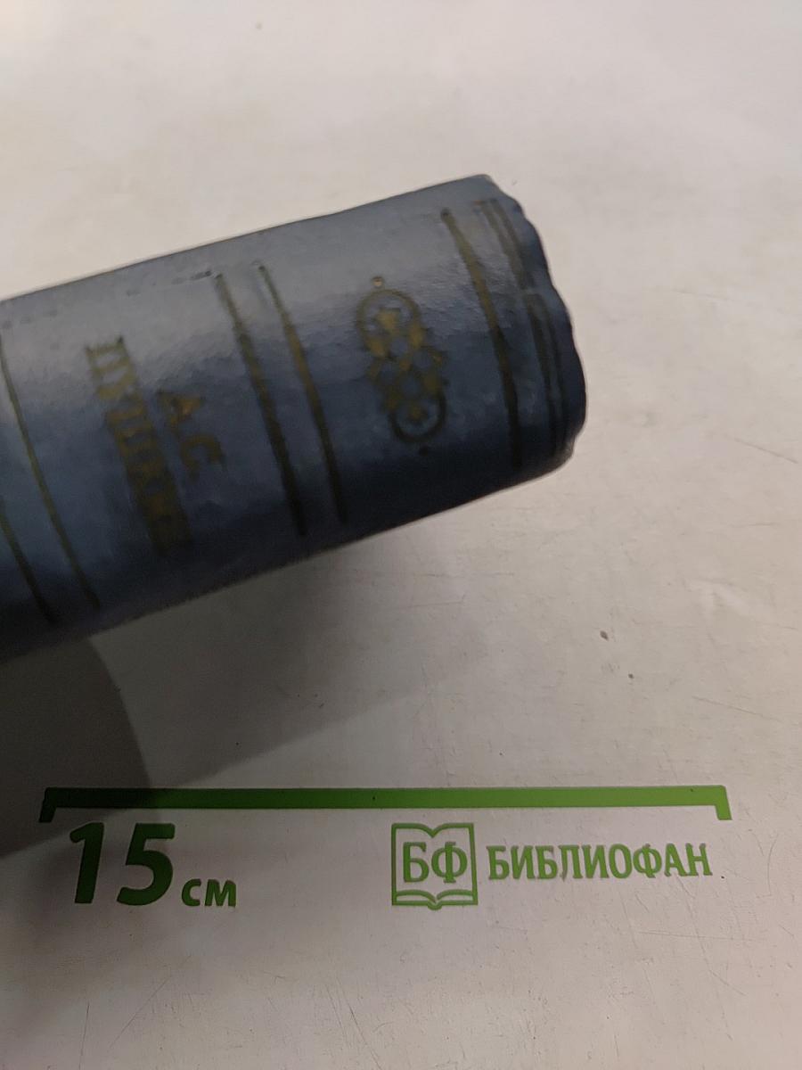 А.С. Пушкин. Художественная проза. Том шестой