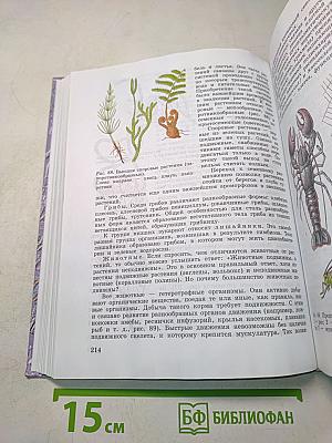 Общая биология. Учебник для 10-11 классов общеобразовательных учреждений