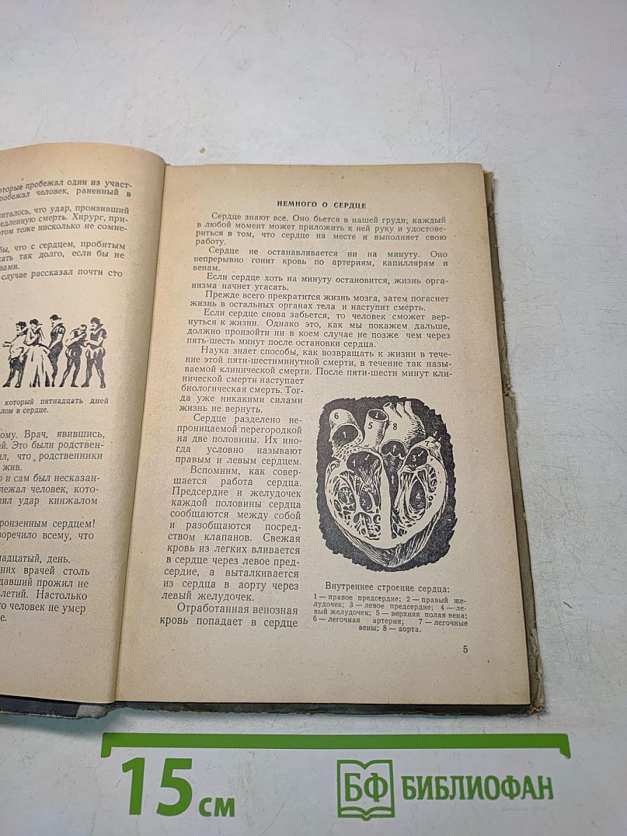 Высокое искусство. Рассказы об успехах хирургии