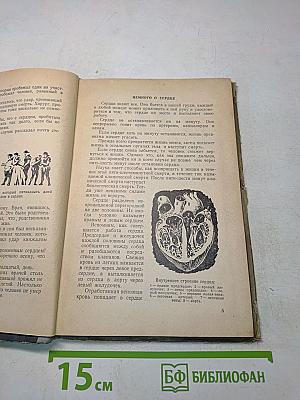 Высокое искусство. Рассказы об успехах хирургии