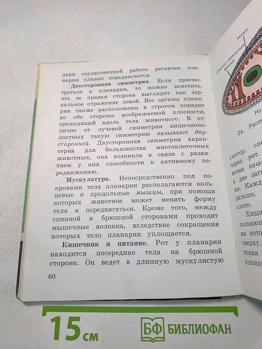 Зоология. Учебник для 6 класса школ слабовидящих