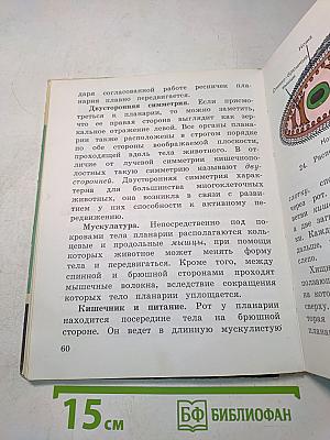 Зоология. Учебник для 6 класса школ слабовидящих