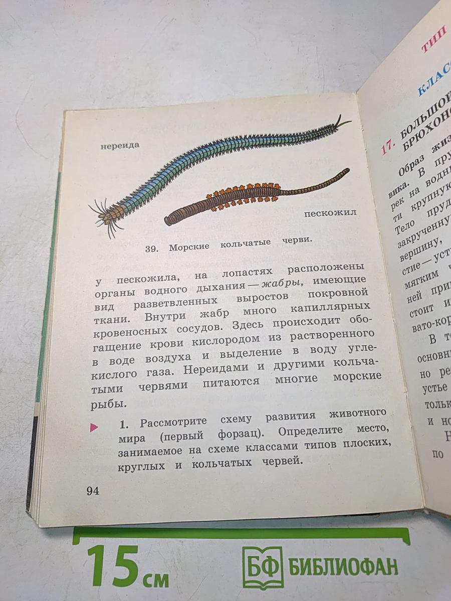 Зоология. Учебник для 6 класса школ слабовидящих