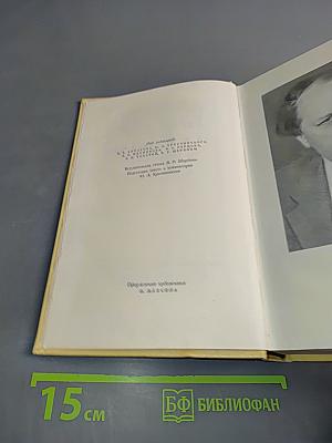 Собрание сочинений. Том первый. Повести и рассказы 1908-1911. Чудаки. Роман