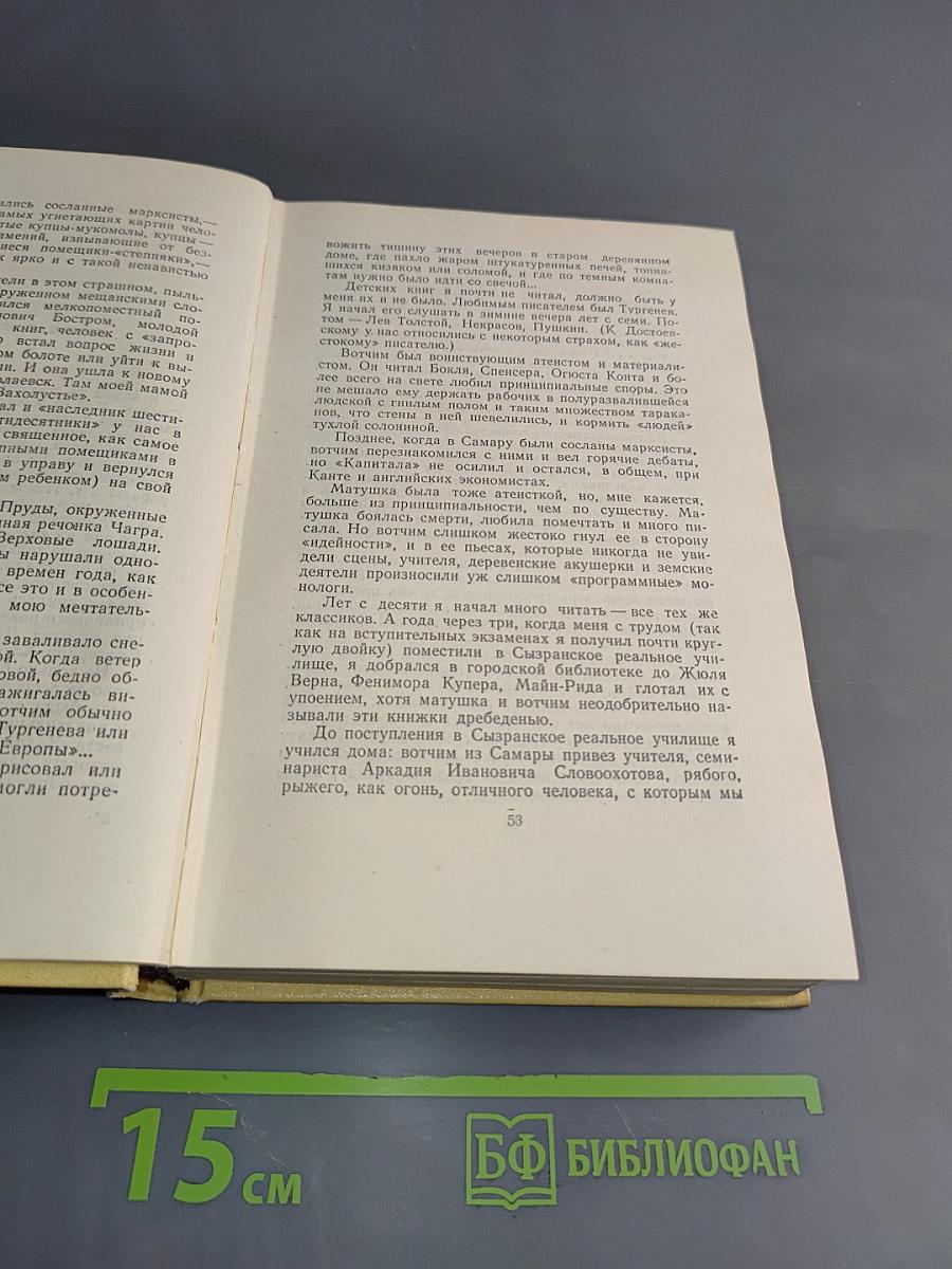 Собрание сочинений. Том первый. Повести и рассказы 1908-1911. Чудаки. Роман