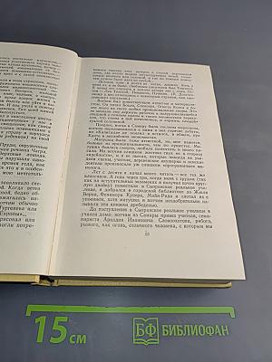 Собрание сочинений. Том первый. Повести и рассказы 1908-1911. Чудаки. Роман