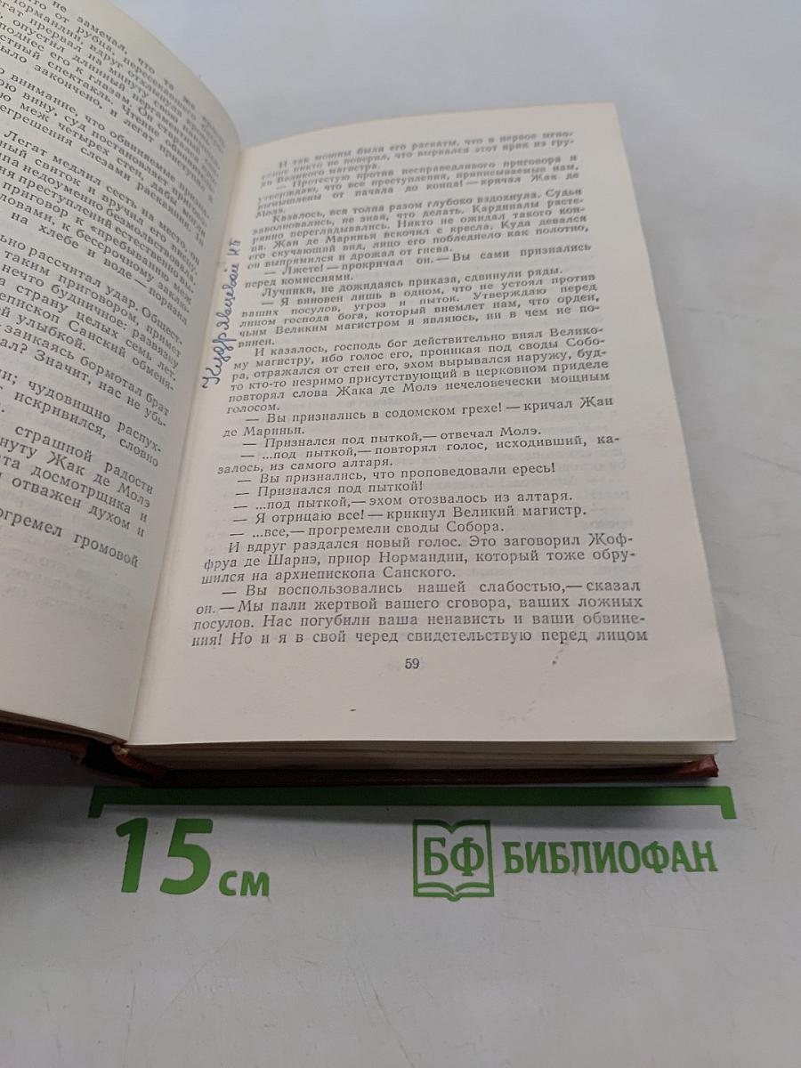 Железный король. Принцесса Шампань
