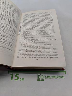 Железный король. Принцесса Шампань