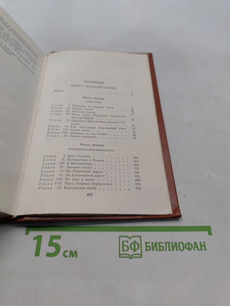 Железный король. Принцесса Шампань