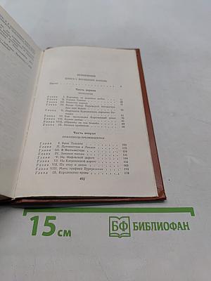 Железный король. Принцесса Шампань