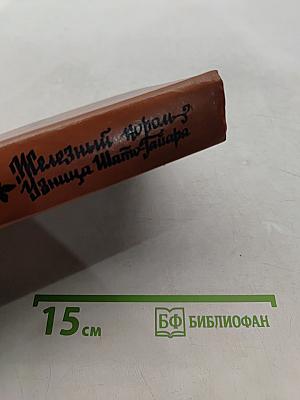Железный король. Принцесса Шампань