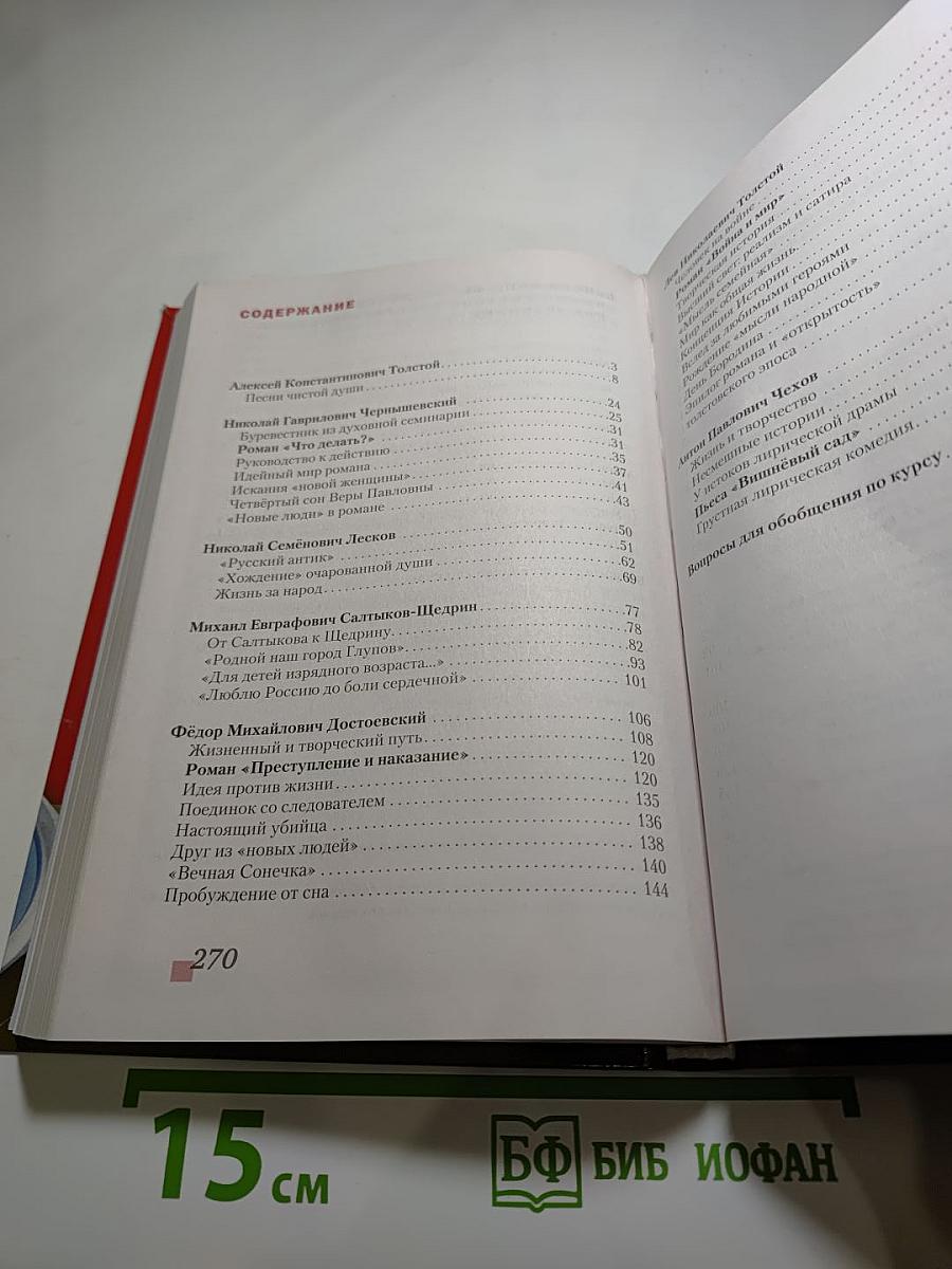 Литература. 10 класс. Часть II