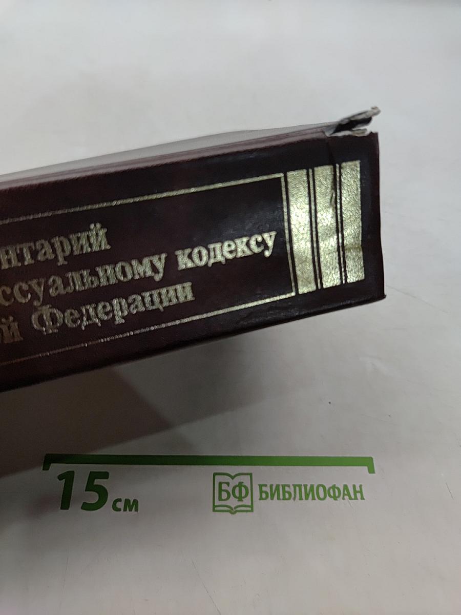 Комментарий к Уголовно-процессуальному кодексу Российской Федерации