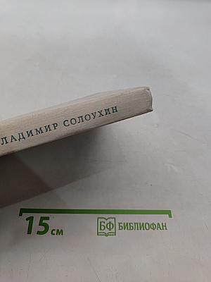 Мед на хлебе