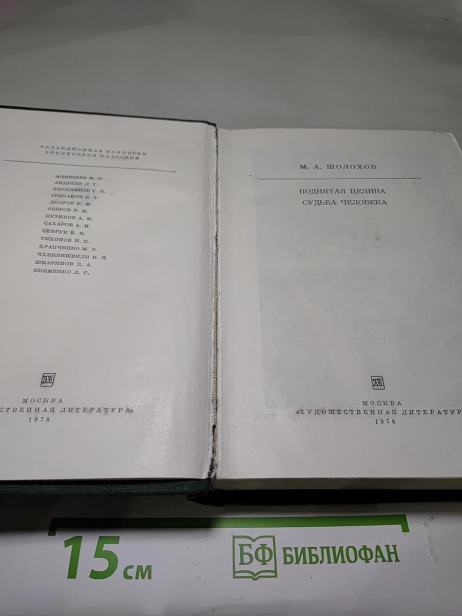 Поднятая целина. Судьба человека