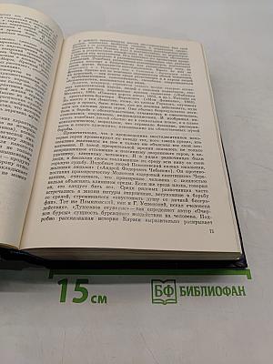 История русской литературы. Том третий. Расцвет реализма