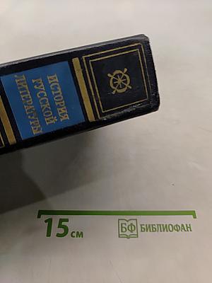 История русской литературы. Том третий. Расцвет реализма