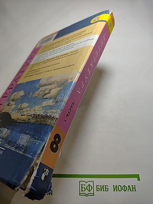 Литература. 8 класс. Часть 1