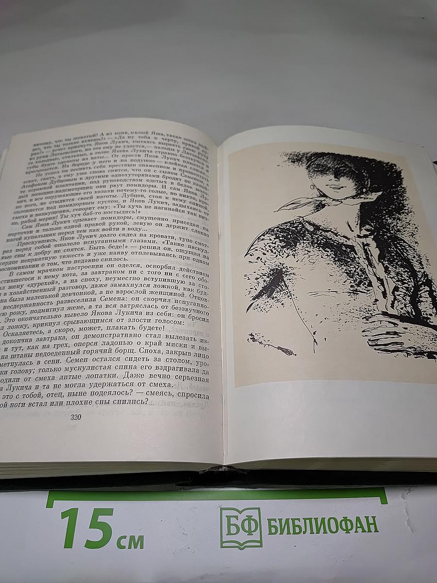 Поднятая целина. Судьба человека