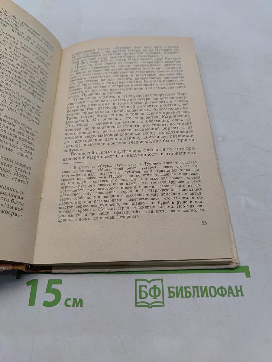 Белинский в школе