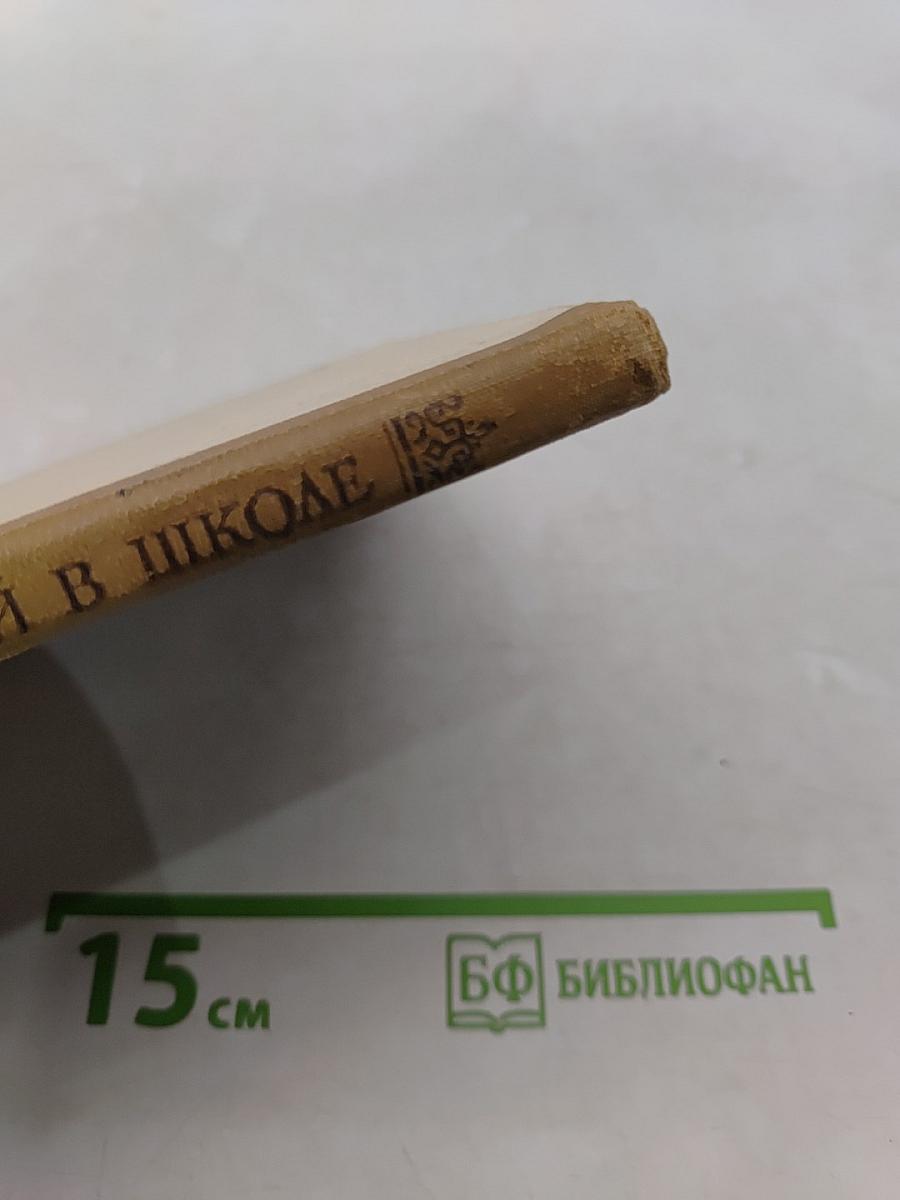 Белинский в школе