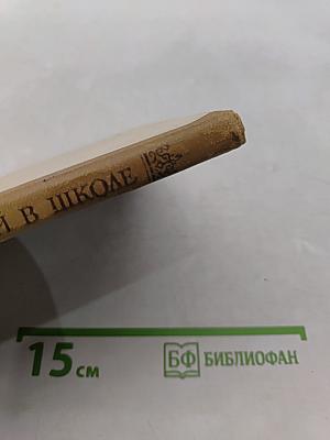 Белинский в школе