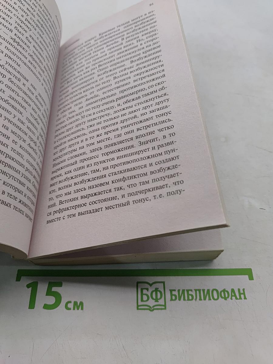 Доминанта