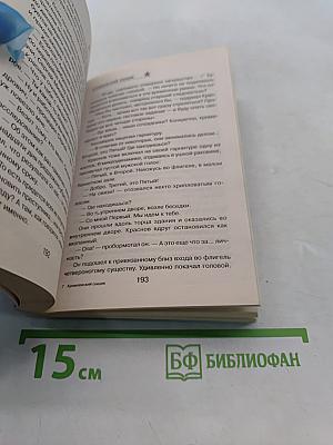 Спецназ. Кремлевский сыщик