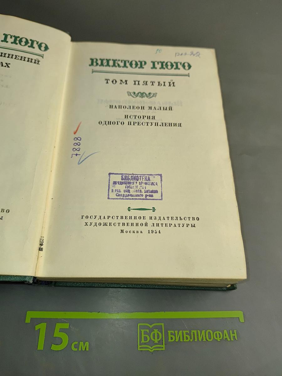 Наполеон Малый. История одного преступления. Том пятый