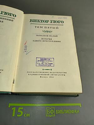 Наполеон Малый. История одного преступления. Том пятый