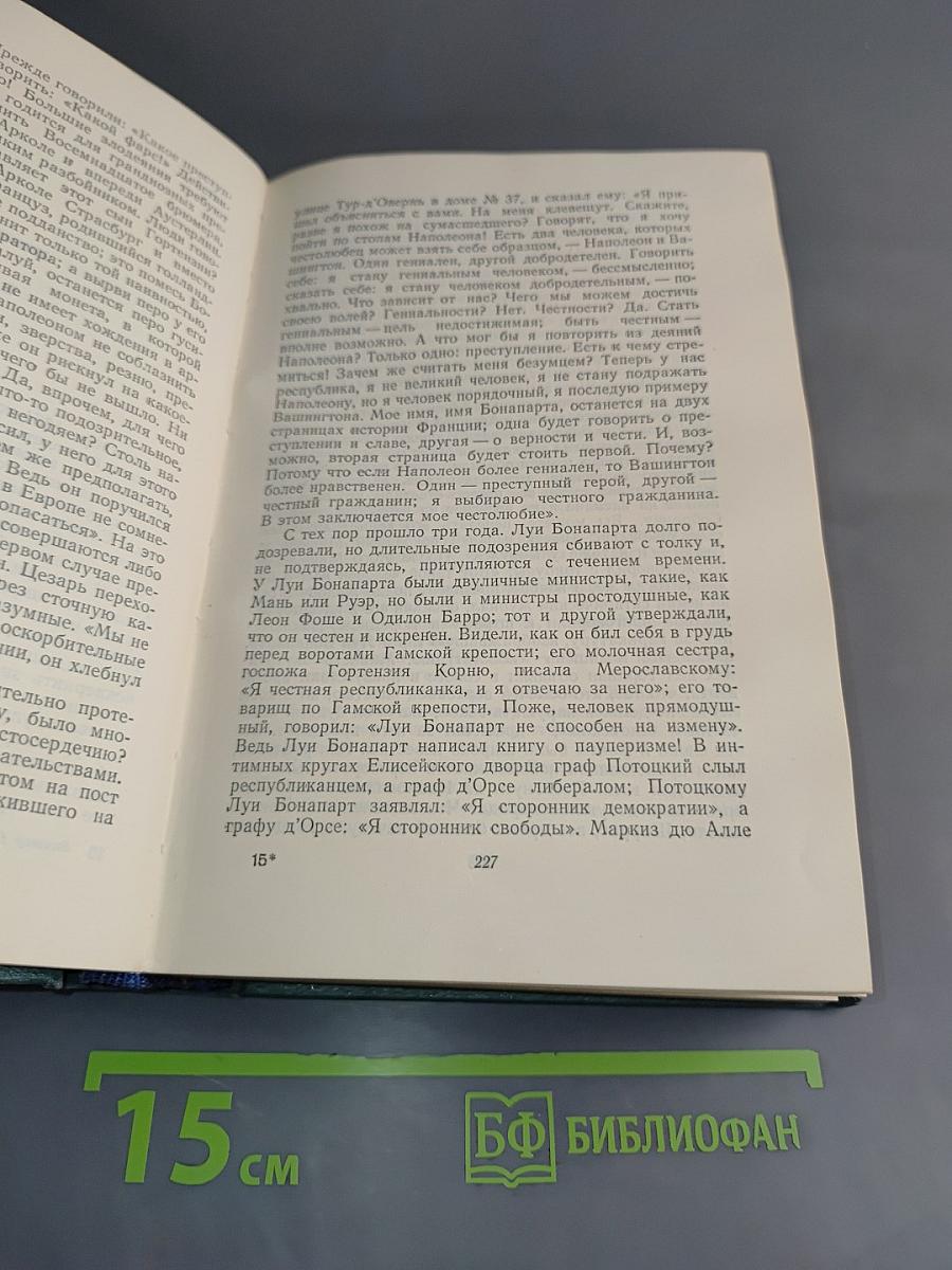 Наполеон Малый. История одного преступления. Том пятый
