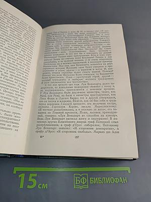 Наполеон Малый. История одного преступления. Том пятый