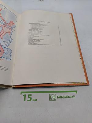Чудесный городок
