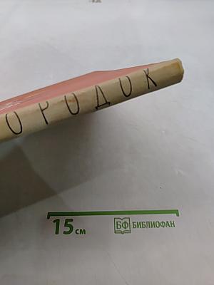 Чудесный городок