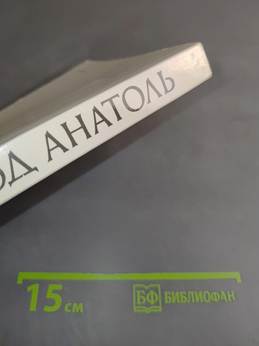 Город Анатоль