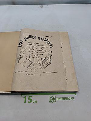 Крах Мишки Муркина