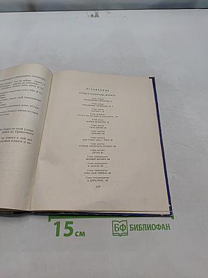 Крах Мишки Муркина