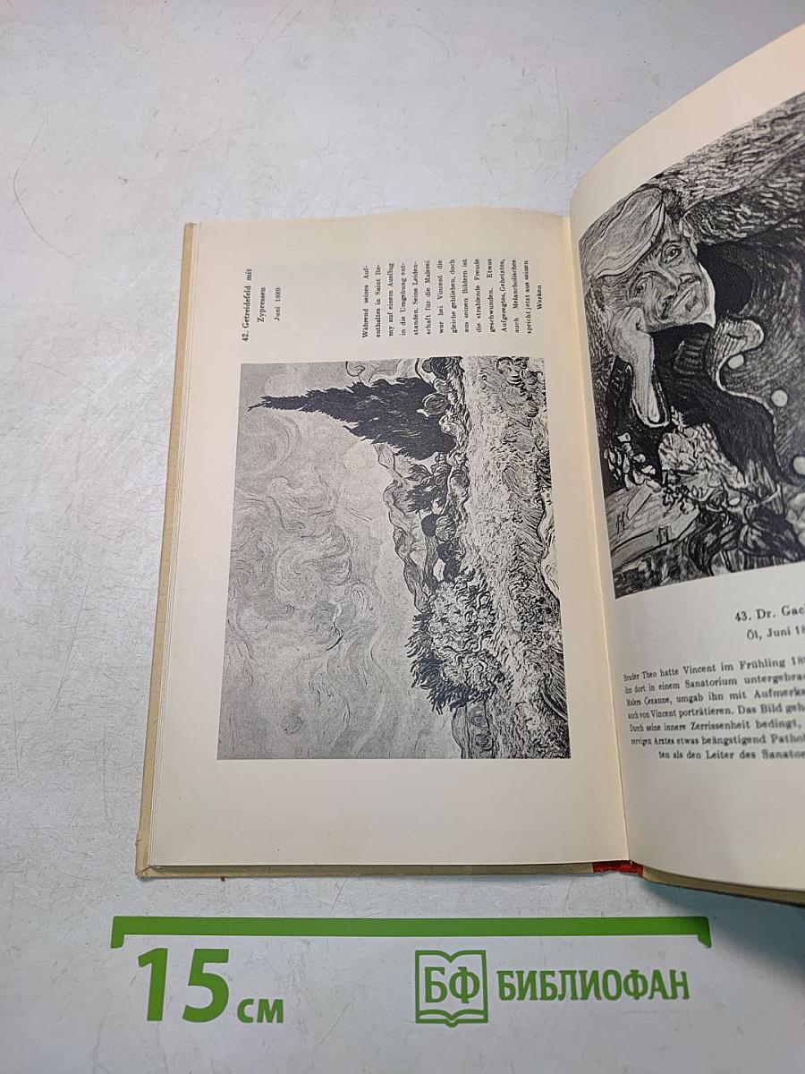 Vincent van Gogh: Sein Leben in Bildern