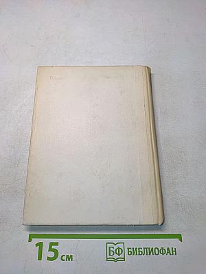 Рыцарь книги