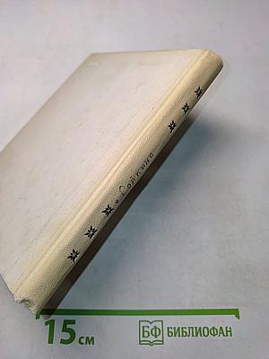 Рыцарь книги