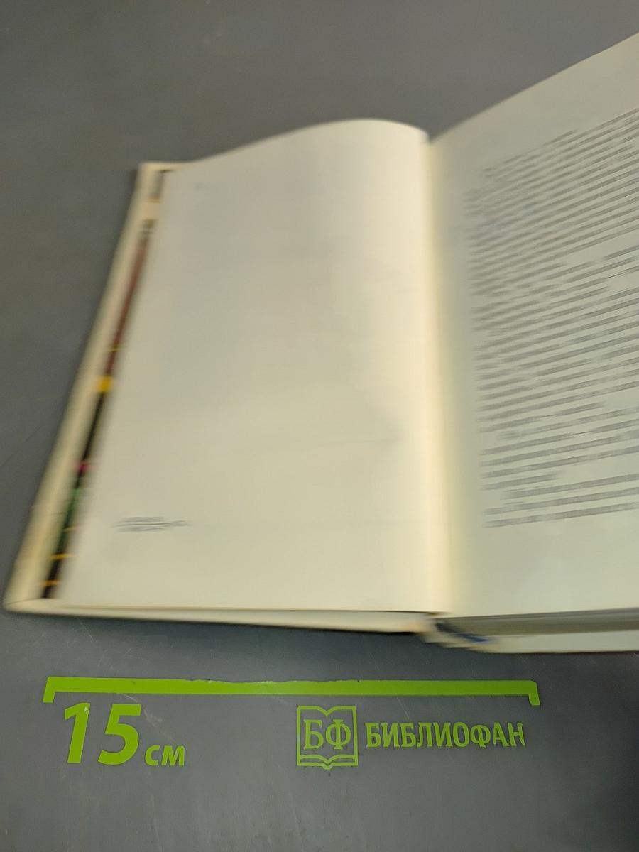 Под брезентовым небом