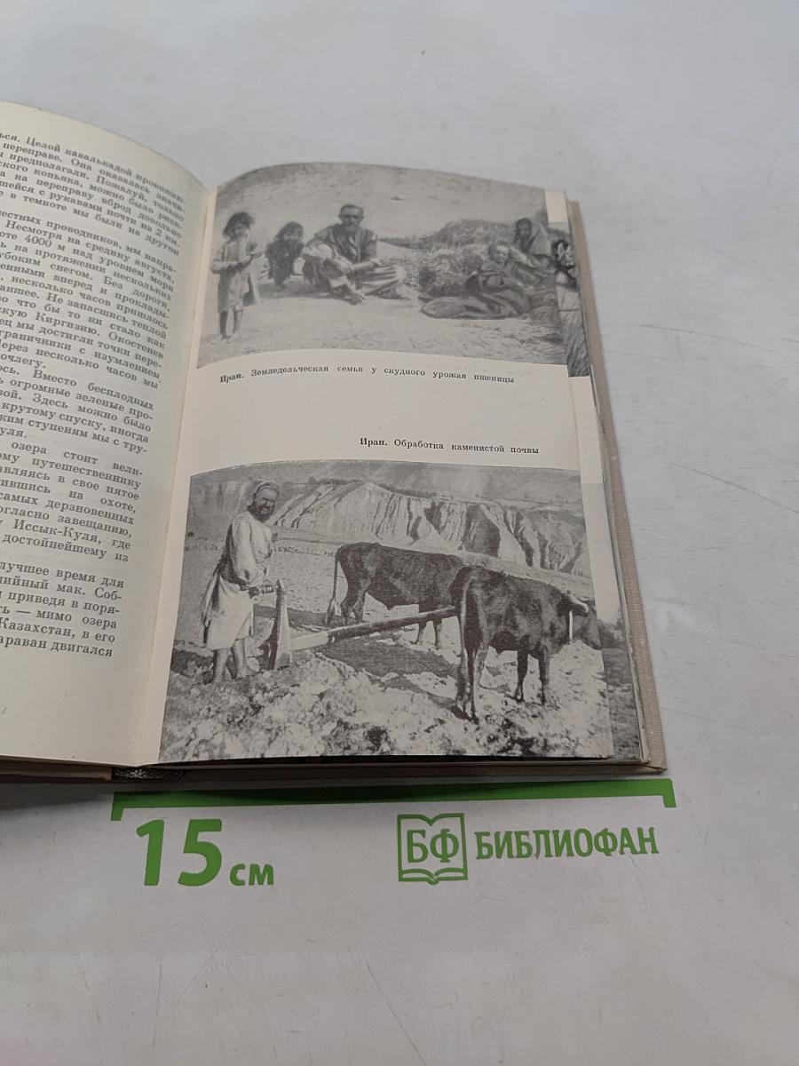 Пять континентов