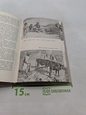 Пять континентов
