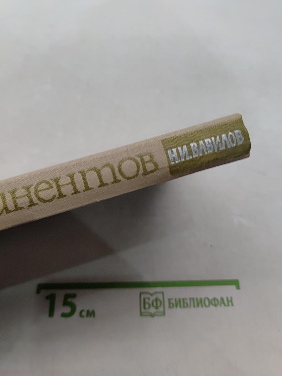 Пять континентов