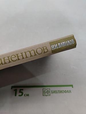 Пять континентов