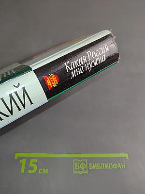 Какая Россия мне нужна