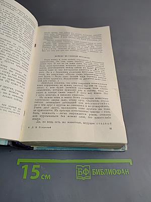 Слово о словах. Ты и твое имя