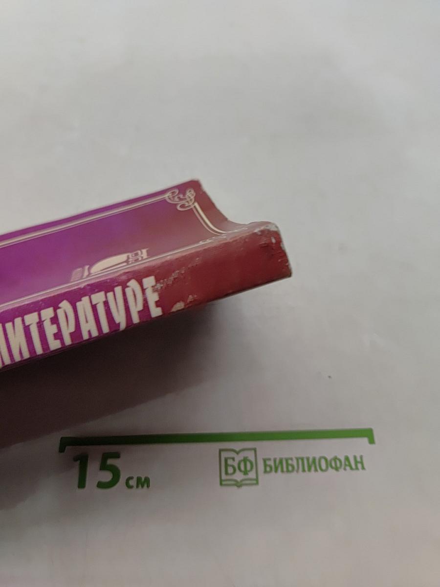 Открытый урок по литературе 5-11 классы (Планы, конспекты, материалы)